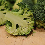 Broccoli by sk8geek on Flickr